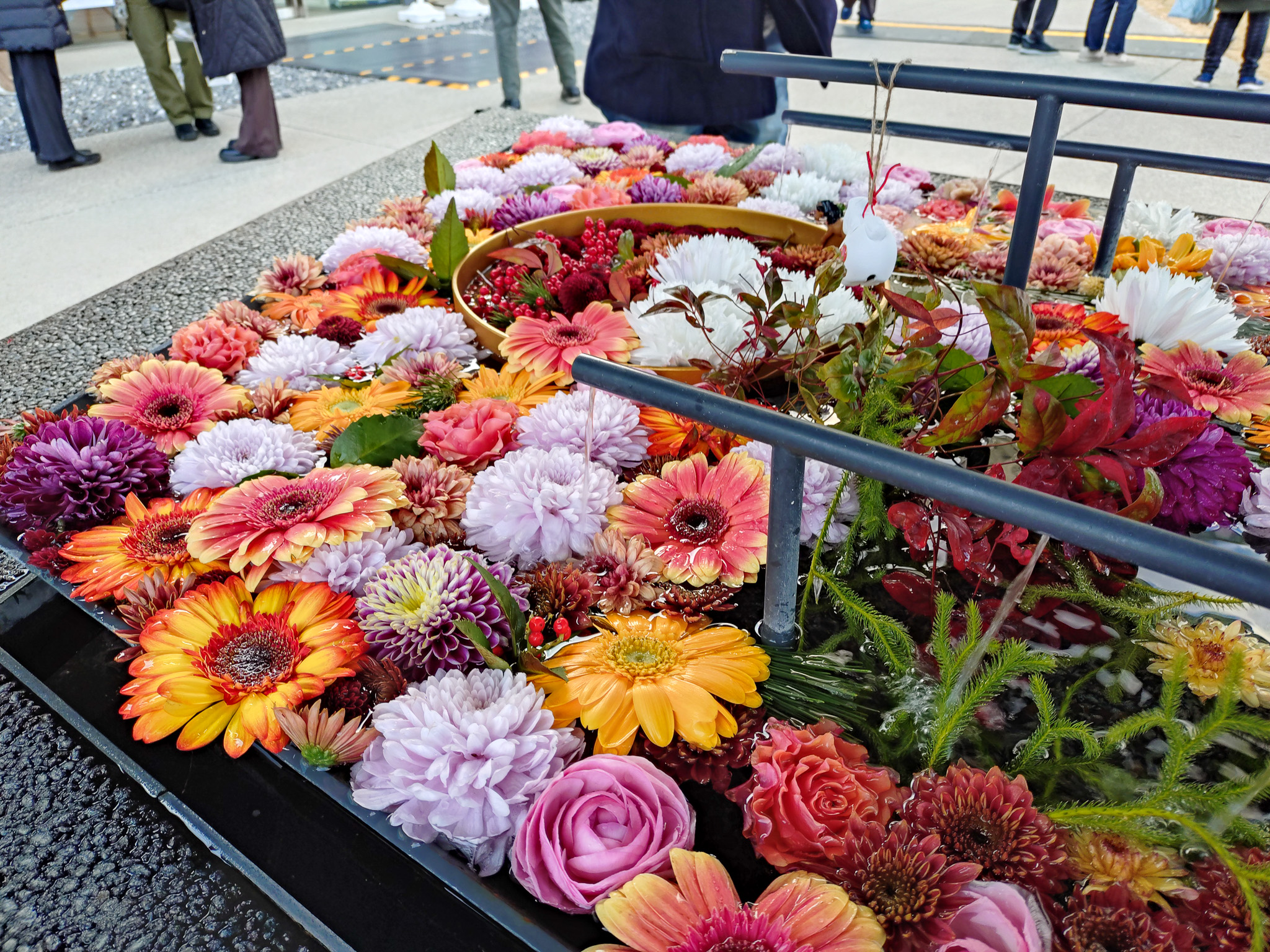 武蔵野令和神社花手水