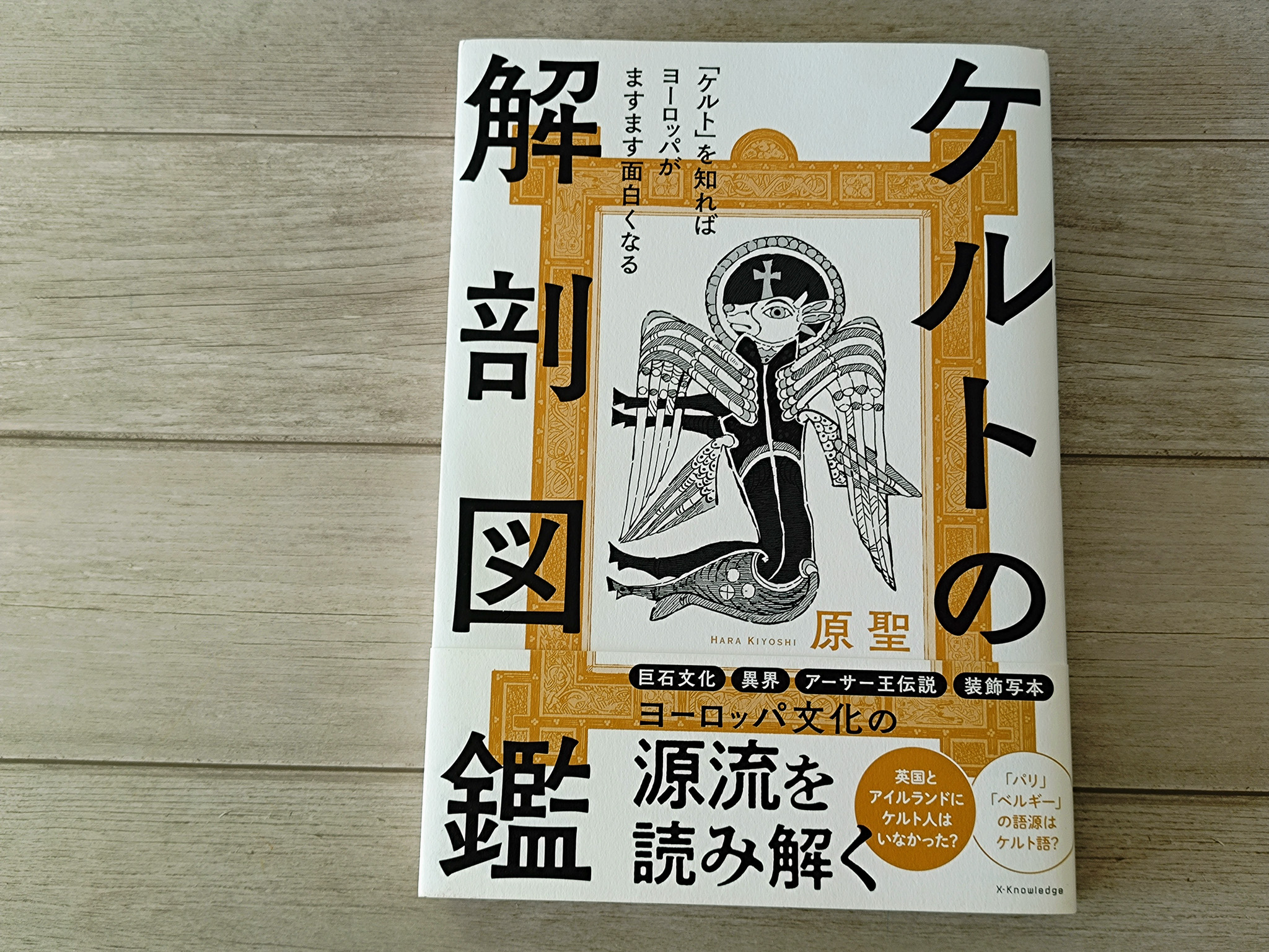 ケルトの解剖図鑑