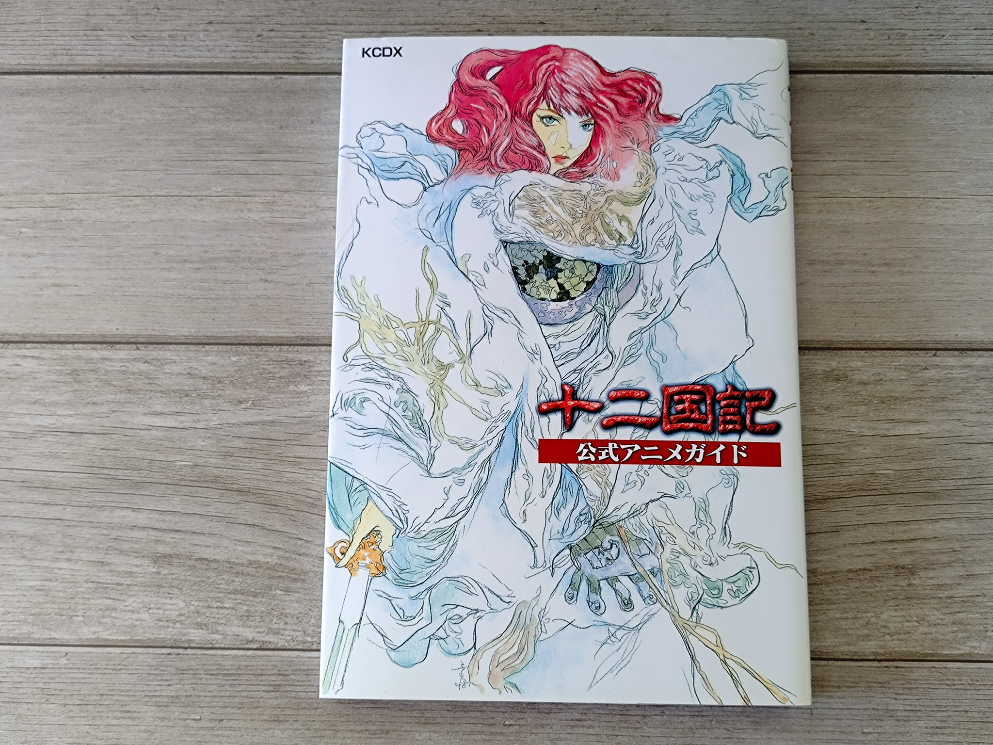 十二国記アニメ公式ガイドブック